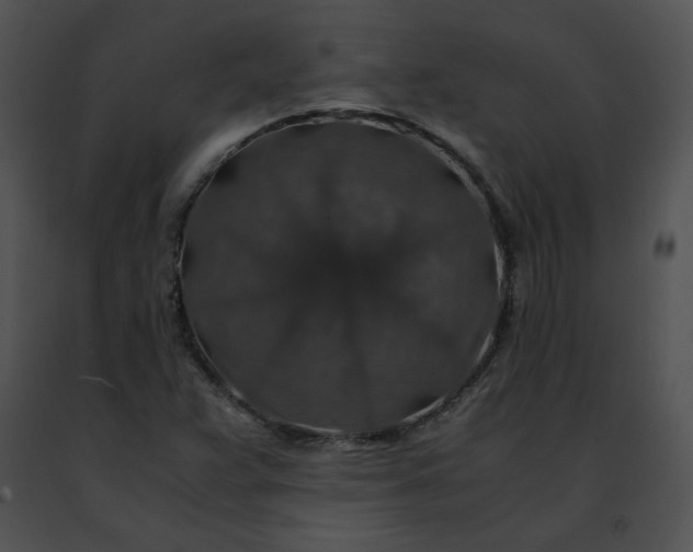 X0000091491359200708301927