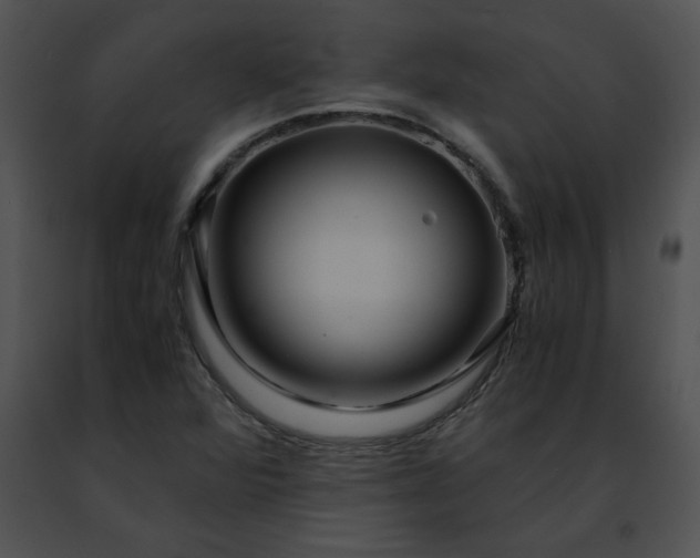 X0000091491360200708301927