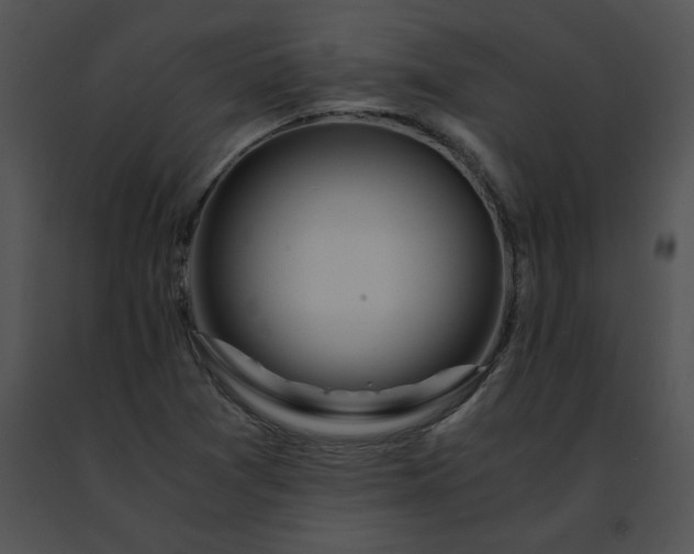 X0000091491361200708301927