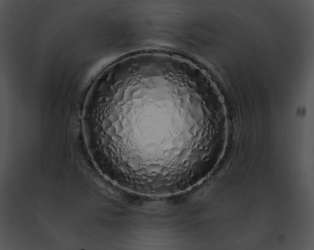 X0000091491363200708301927