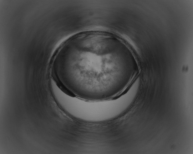 X0000091491364200708301927