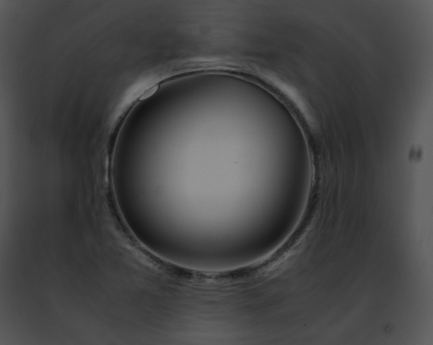 X0000091491365200708301927