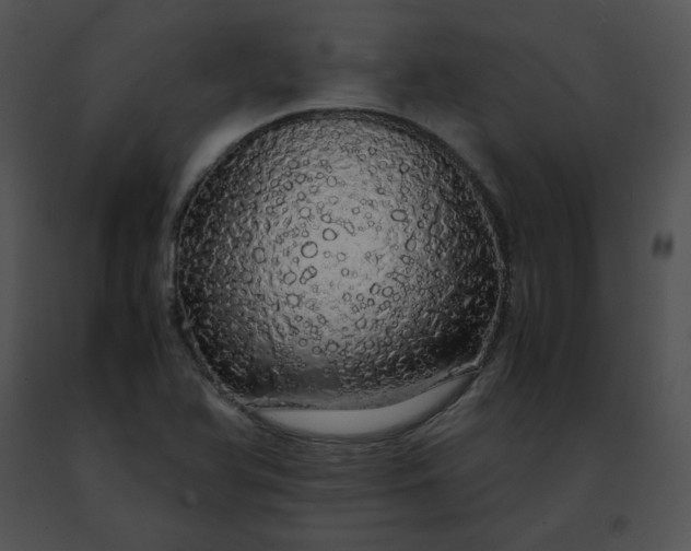 X0000091491366200708301927