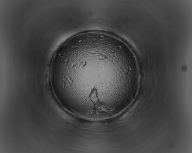 X0000091491367200708301927