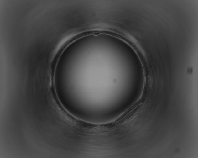 X0000091491368200708301927