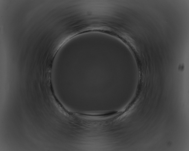 X0000091491369200708301927