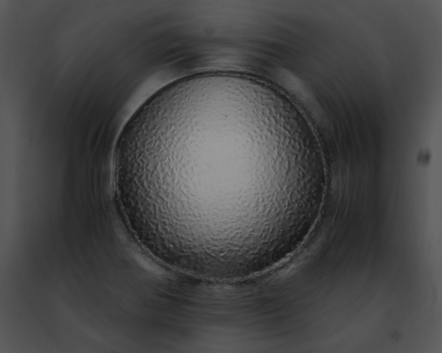 X0000091491370200708301927