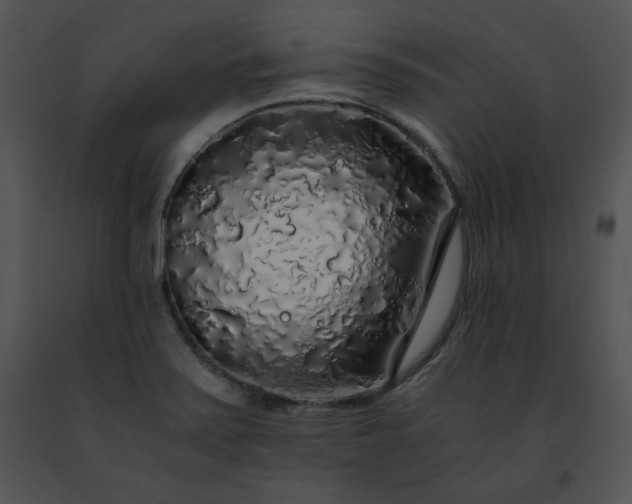 X0000091491371200708301927