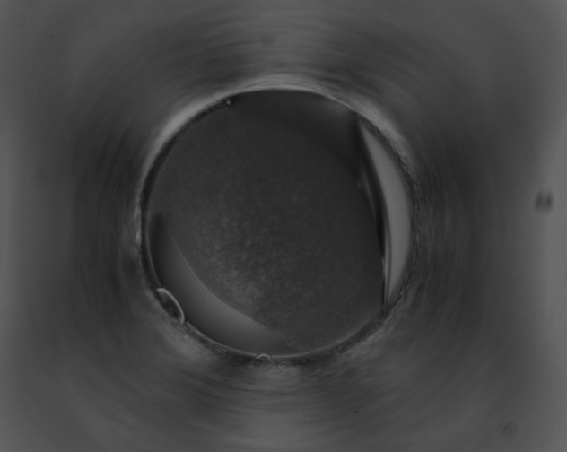 X0000091491372200708301927