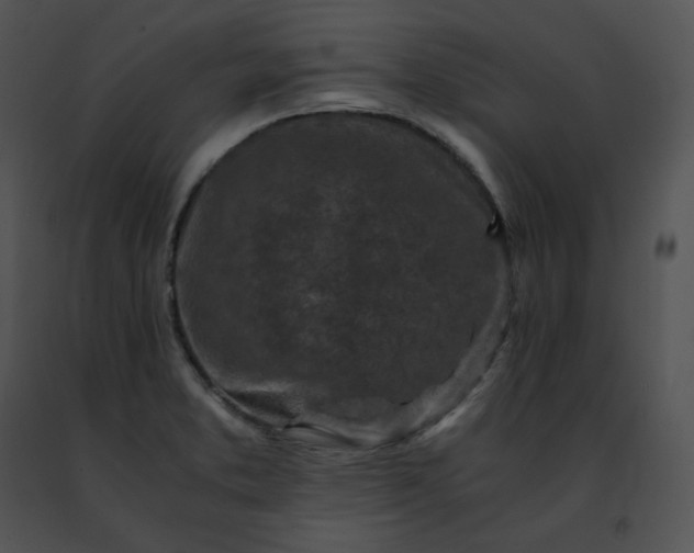 X0000091491373200708301927