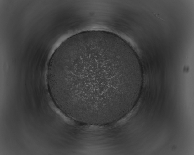 X0000091491374200708301927