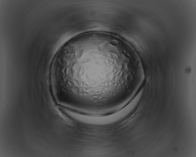 X0000091491375200708301927