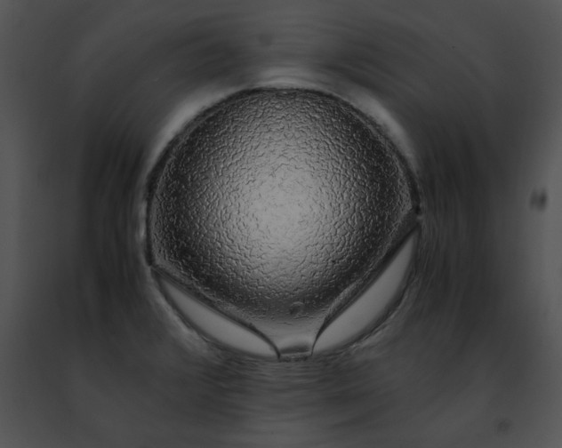 X0000091491376200708301927