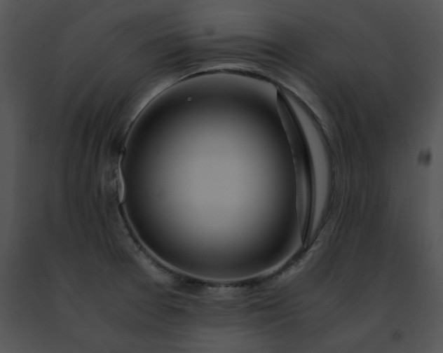 X0000091491377200708301927