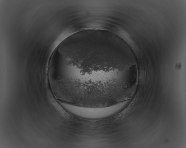 X0000091491378200708301927