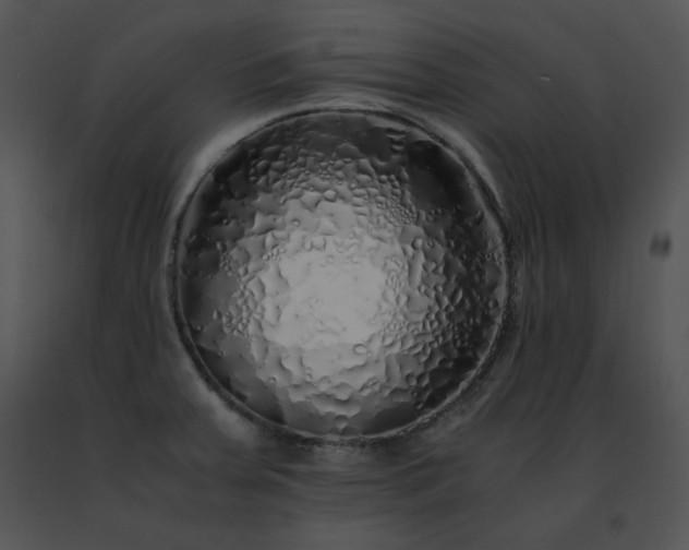 X0000091491379200708301927