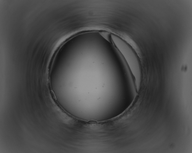 X0000091491380200708301927