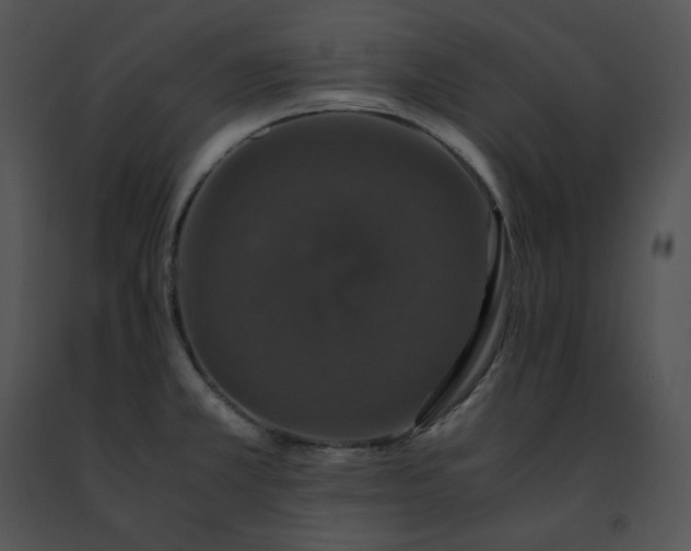 X0000091491381200708301927