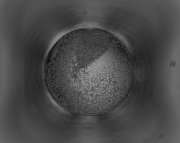 X0000091491382200708301926