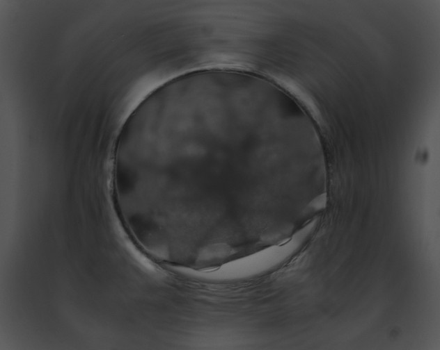 X0000091491383200708301926