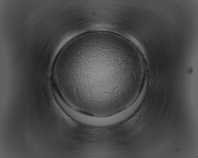 X0000091491384200708301926