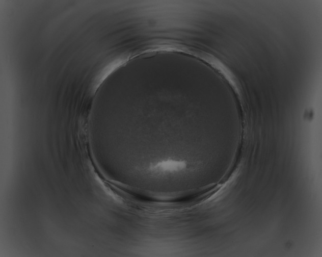 X0000091491385200708301926