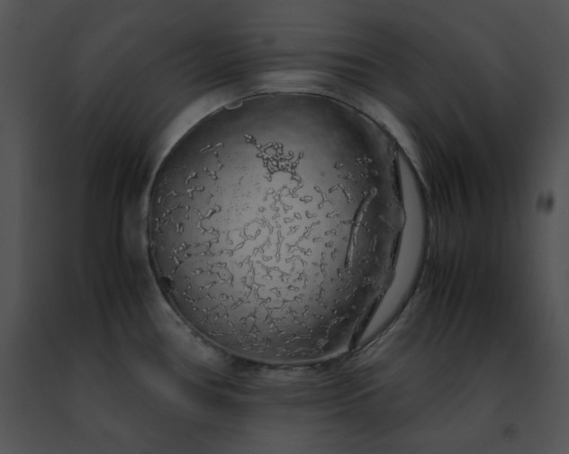 X0000091491386200708301926