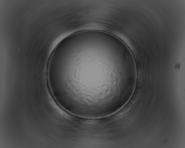 X0000091491387200708301926