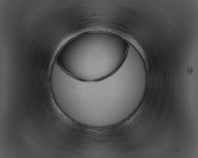 X0000091491388200708301926