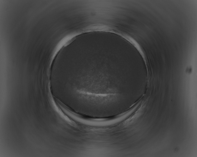 X0000091491389200708301926