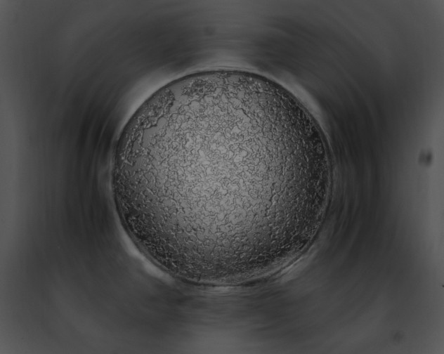 X0000091491390200708301926