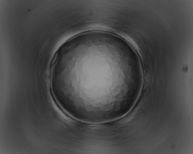 X0000091491391200708301926