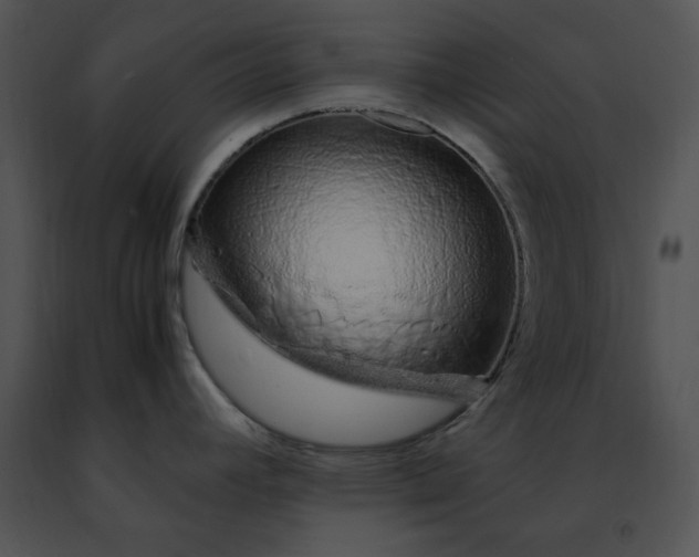 X0000091491392200708301926