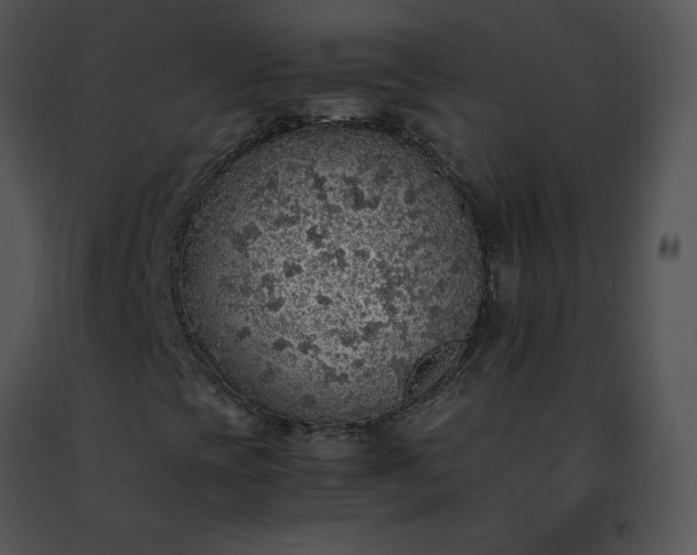 X0000091491393200708301926