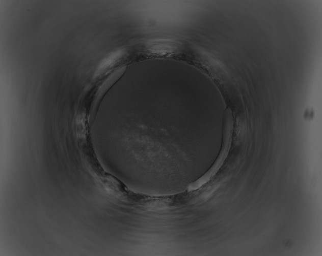 X0000091491394200708301926