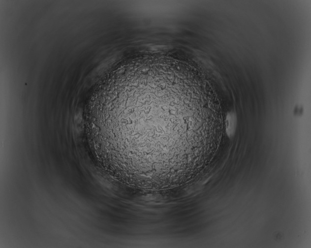 X0000091491395200708301926