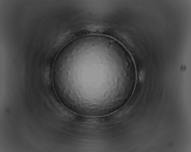 X0000091491396200708301926