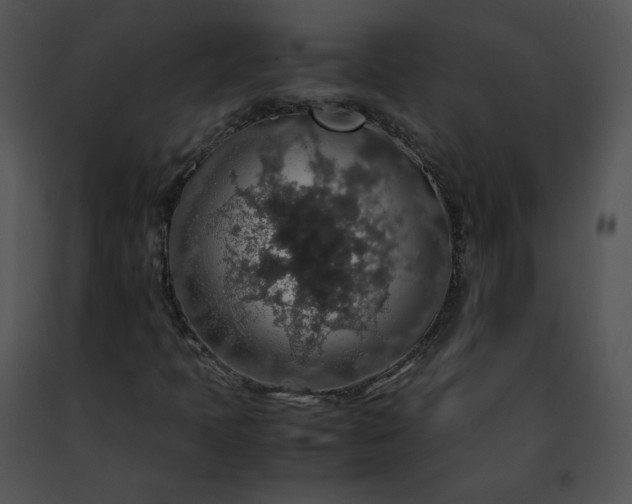 X0000091491397200708301926