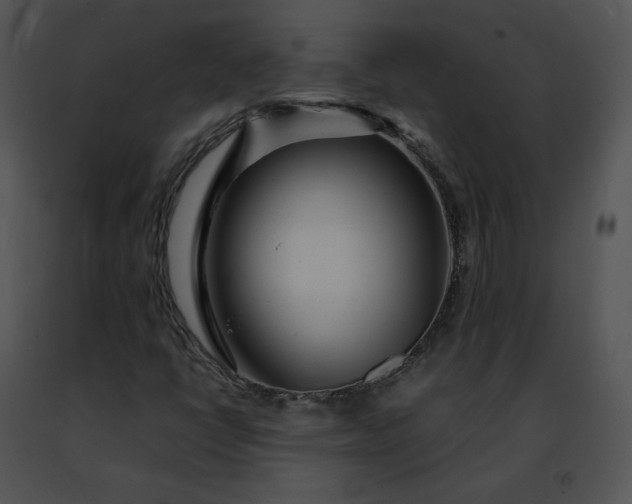 X0000091491398200708301926