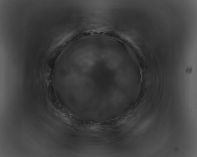 X0000091491399200708301926