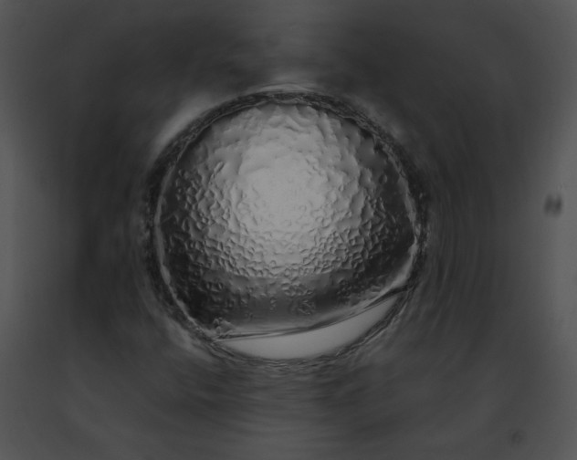 X0000091491400200708301926