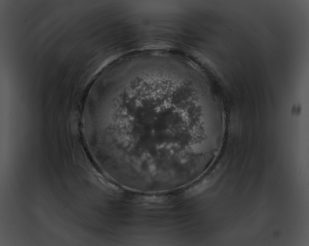 X0000091491401200708301926