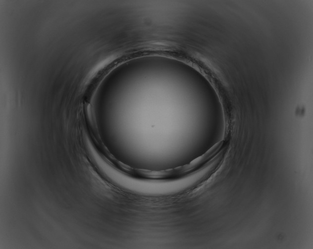 X0000091491402200708301926