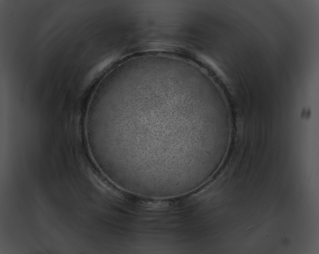 X0000091491403200708301926