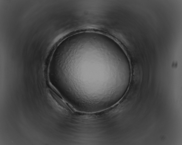 X0000091491404200708301926