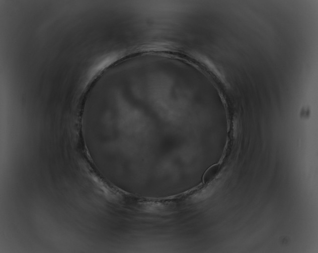 X0000091491405200708301926