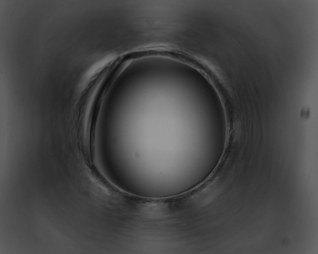 X0000091491406200708301926