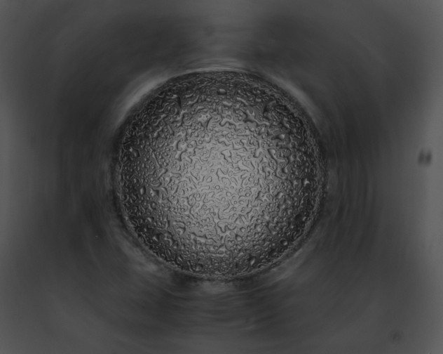 X0000091491407200708301926