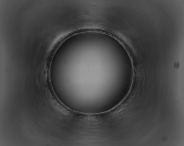 X0000091491408200708301926