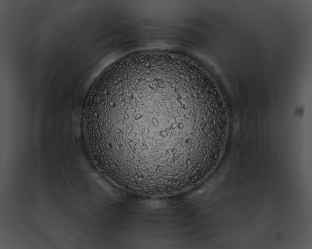 X0000091491409200708301926